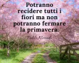 Un sentiero fiorito di ciliegi rosa, con un cancello in legno. Frasi sulla primavera per bambini: "Potranno recidere tutti i fiori ma non potranno fermare la primavera.