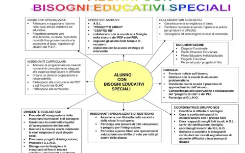 Schema che illustra cos'è un alunno con bisogni educativi speciali e chi collabora per il suo supporto: insegnanti, operatori sanitari, famiglia, ecc.