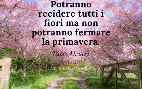 Un sentiero fiorito di ciliegi rosa, con un cancello in legno. Frasi sulla primavera per bambini: "Potranno recidere tutti i fiori ma non potranno fermare la primavera.