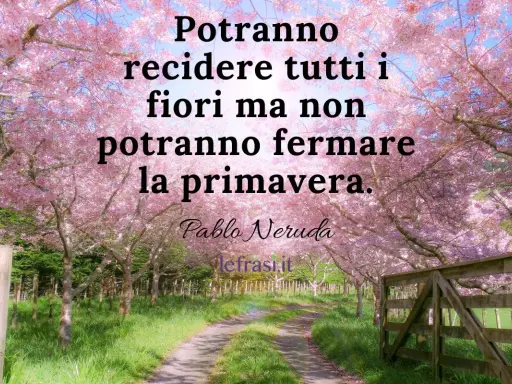 Un sentiero fiorito di ciliegi rosa, con un cancello in legno. Frasi sulla primavera per bambini: "Potranno recidere tutti i fiori ma non potranno fermare la primavera.