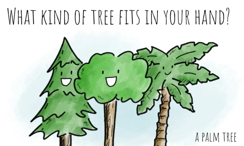 Tre alberi sorridenti, uno a forma di pino, uno tondo e uno di palma, con la scritta "Che albero sta nella tua mano?". Perfetto per barzellette per bambini.